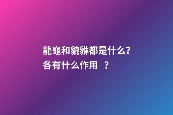 龍龜和貔貅都是什么？各有什么作用？